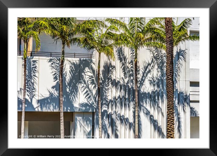 Palm Trees Shadows Building Miami Beach Florida Framed Mounted Print by William Perry