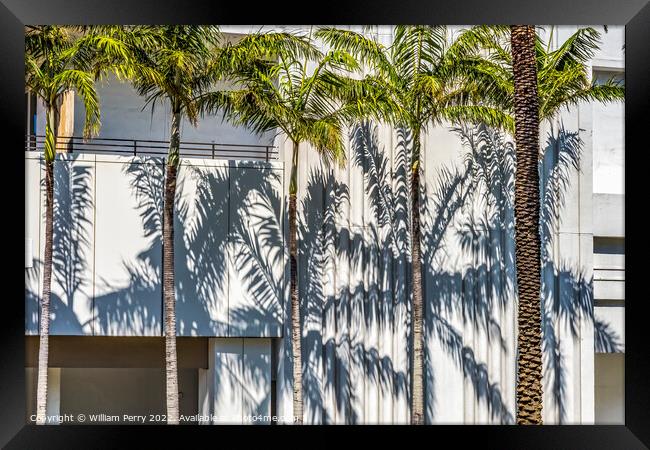 Palm Trees Shadows Building Miami Beach Florida Framed Print by William Perry