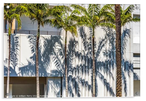 Palm Trees Shadows Building Miami Beach Florida Acrylic by William Perry