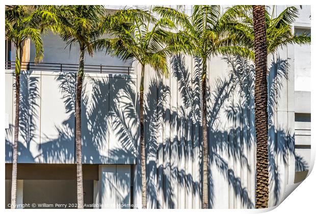 Palm Trees Shadows Building Miami Beach Florida Print by William Perry