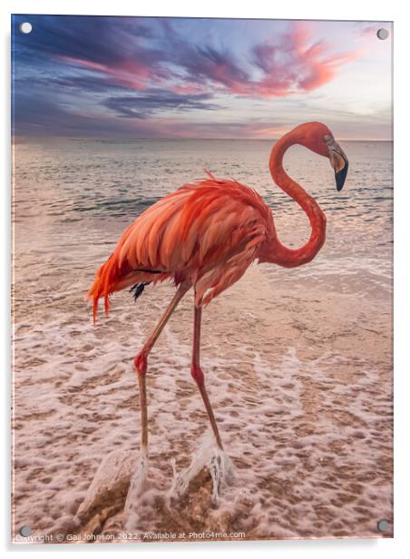Flamingo at the beach at sunset  Acrylic by Gail Johnson