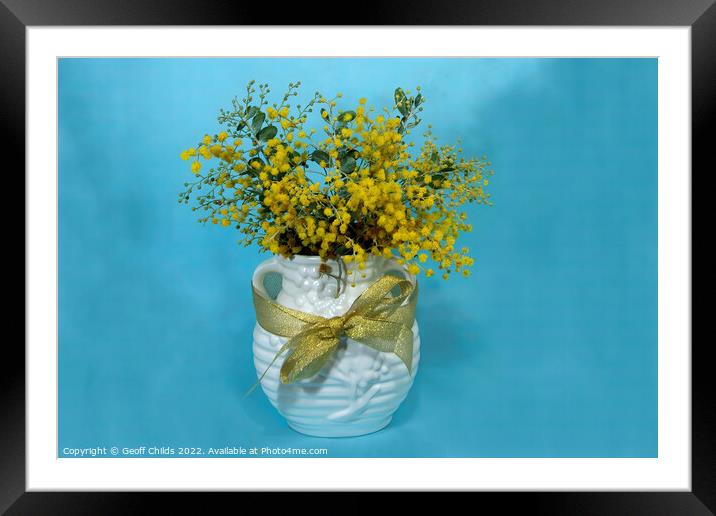 Wattle blossoms in a ceramic vase on blue. Framed Mounted Print by Geoff Childs