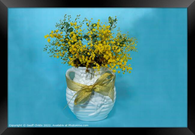 Wattle blossoms in a ceramic vase on blue. Framed Print by Geoff Childs