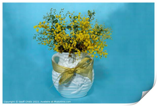 Wattle blossoms in a ceramic vase on blue. Print by Geoff Childs