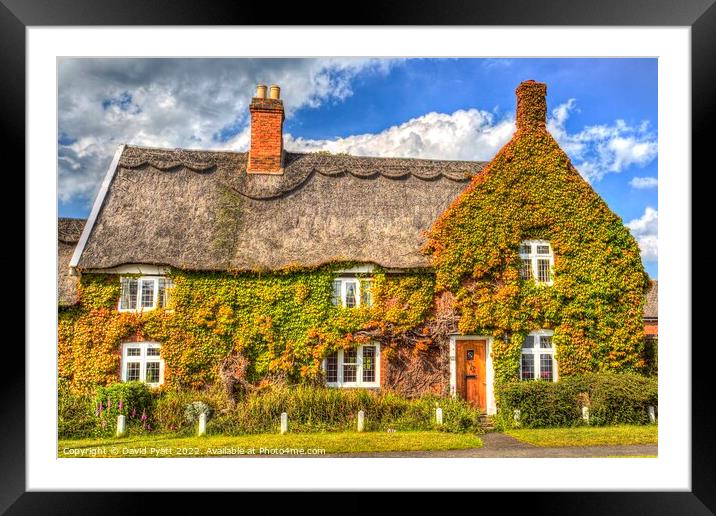 Thatched Cottage Summer Framed Mounted Print by David Pyatt