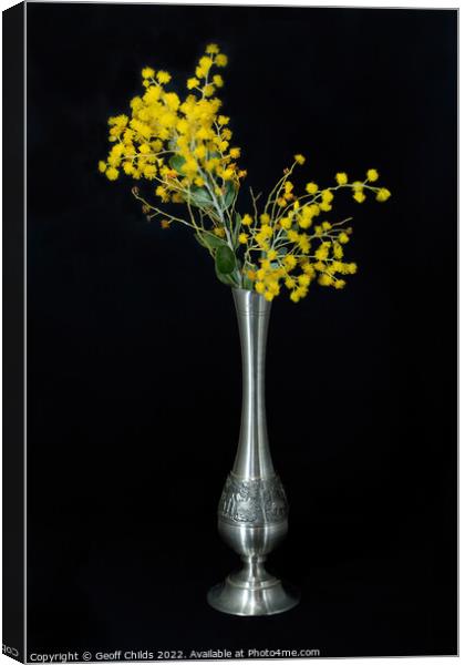 Wattle blossoms in a pewter vase on black. Canvas Print by Geoff Childs