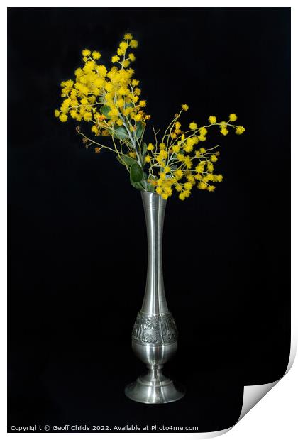 Wattle blossoms in a pewter vase on black. Print by Geoff Childs