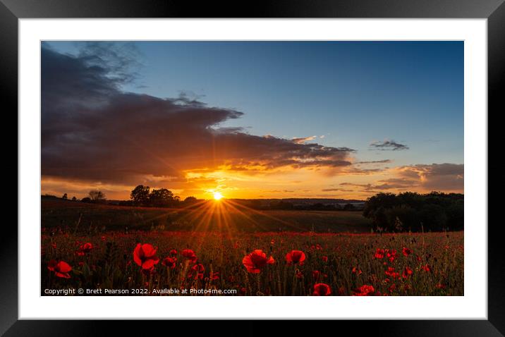Poppy Sunset Framed Mounted Print by Brett Pearson