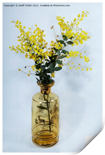 Wattle blossoms in a amber glass vase on white. Print by Geoff Childs