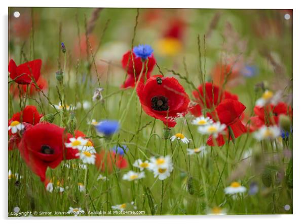 Outdoor field Acrylic by Simon Johnson