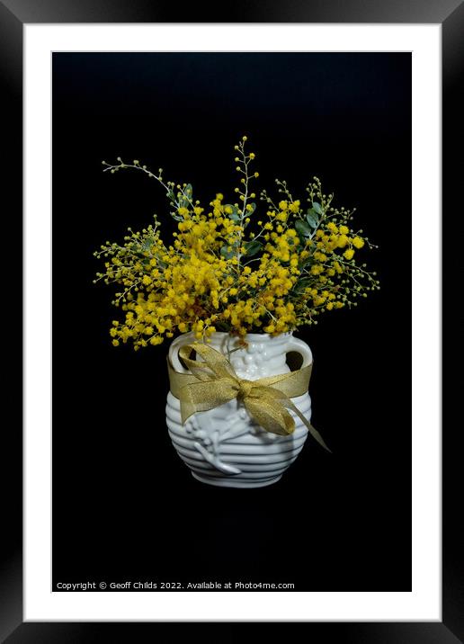 Wattle blossoms in a white ceramic vase on black. Framed Mounted Print by Geoff Childs