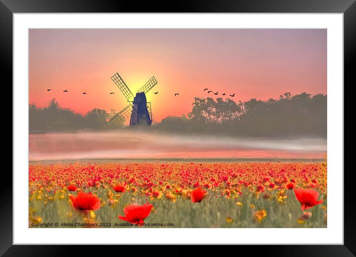 Norfolk Poppy Field Framed Mounted Print by Alison Chambers