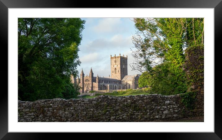 St davids cathedral Framed Mounted Print by Alan Tunnicliffe
