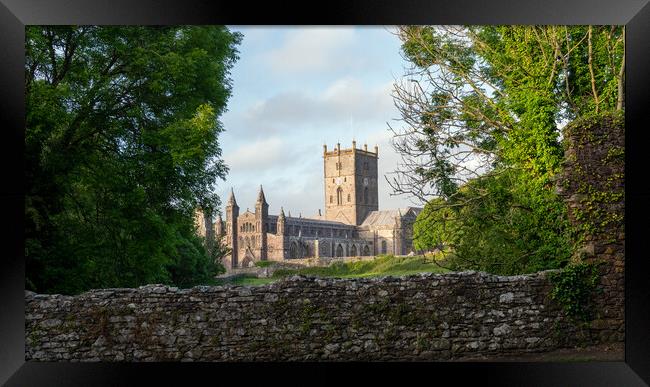 St davids cathedral Framed Print by Alan Tunnicliffe