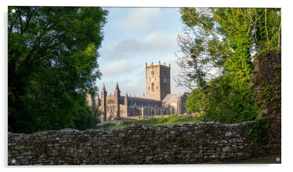 St davids cathedral Acrylic by Alan Tunnicliffe