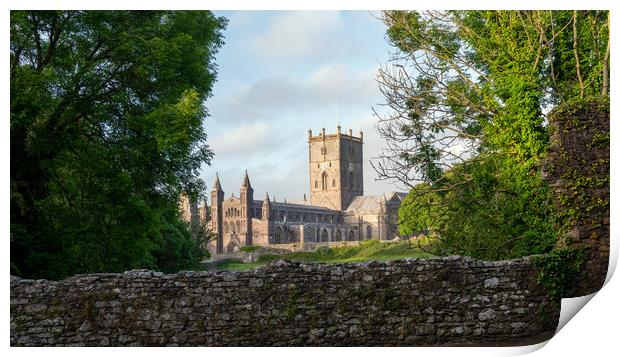 St davids cathedral Print by Alan Tunnicliffe