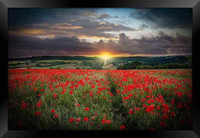 Poppy Field Surise Framed Print by J Biggadike