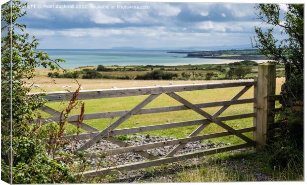 Farm Gate to Countryside on Welsh Coast Anglesey Canvas Print by Pearl Bucknall