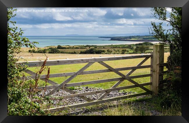 Farm Gate to Countryside on Welsh Coast Anglesey Framed Print by Pearl Bucknall