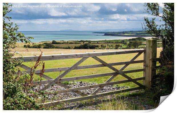 Farm Gate to Countryside on Welsh Coast Anglesey Print by Pearl Bucknall