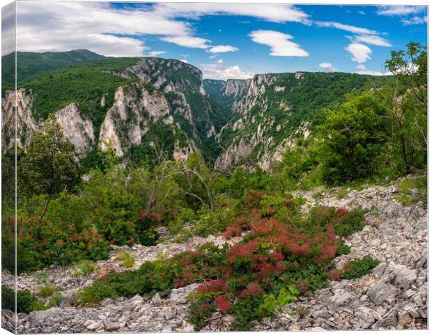 Lazar's Canyon / Lazarev kanjon the deepest and longest canyon in eastern Serbia Canvas Print by Mirko Kuzmanovic