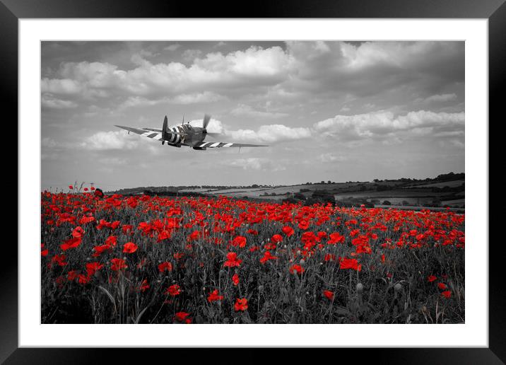 Spitfire The City of Exeter Poppy Fly Past - Selective Framed Mounted Print by J Biggadike
