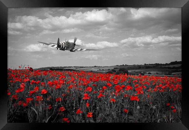 Spitfire The City of Exeter Poppy Fly Past - Selective Framed Print by J Biggadike