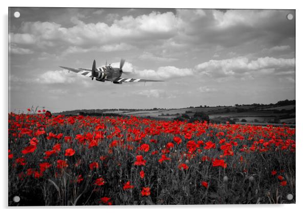 Spitfire The City of Exeter Poppy Fly Past - Selective Acrylic by J Biggadike