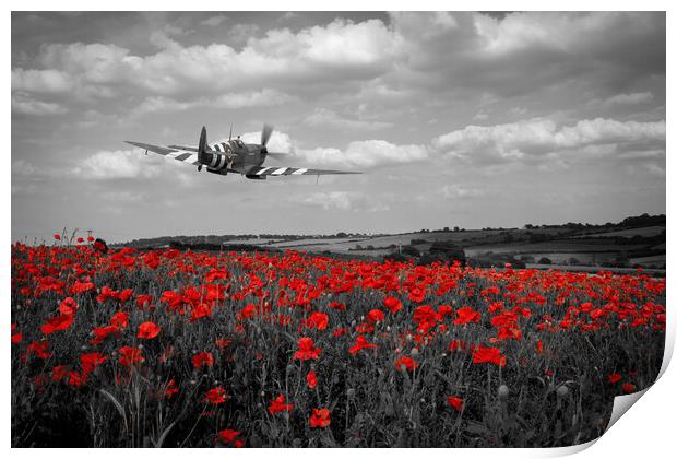 Spitfire The City of Exeter Poppy Fly Past - Selective Print by J Biggadike