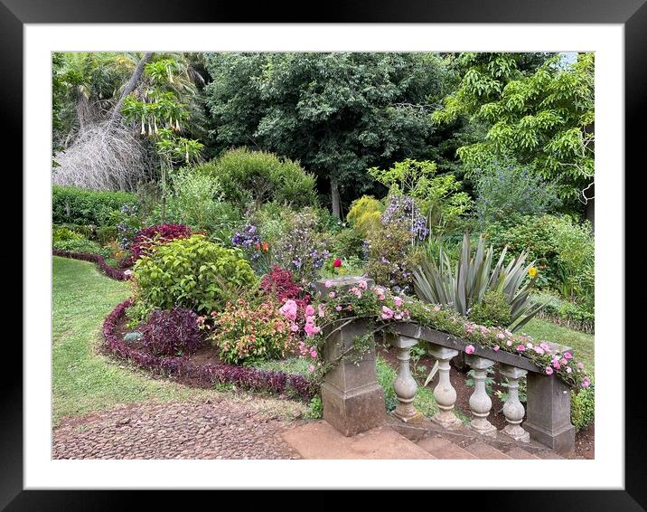 Blandy's gardens Madeira Framed Mounted Print by Joyce Hird