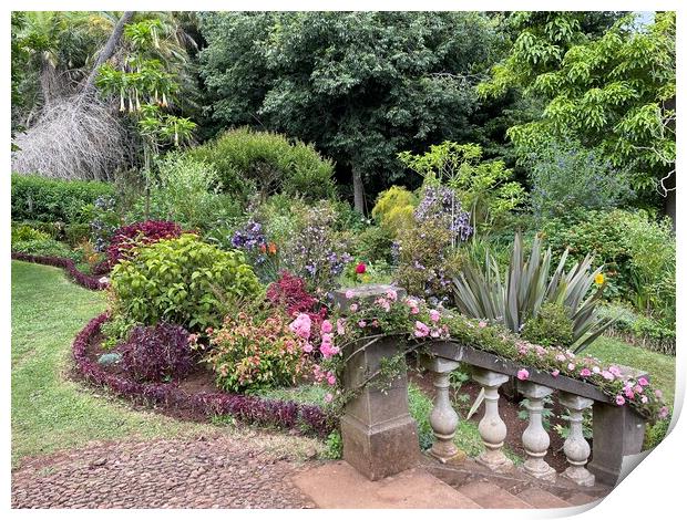 Blandy's gardens Madeira Print by Joyce Hird