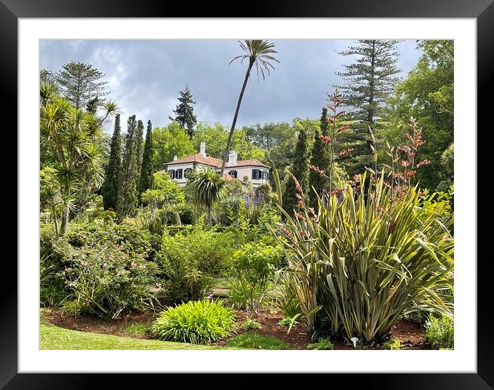Bandy's gardens Madeira Framed Mounted Print by Joyce Hird