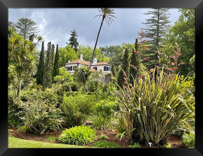 Bandy's gardens Madeira Framed Print by Joyce Hird