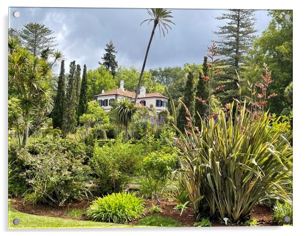 Bandy's gardens Madeira Acrylic by Joyce Hird
