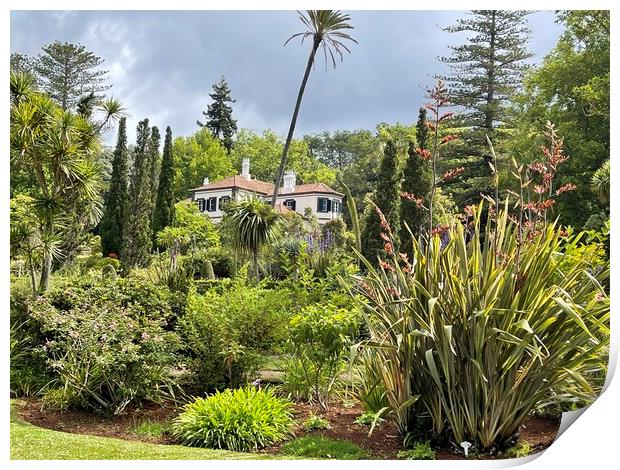 Bandy's gardens Madeira Print by Joyce Hird