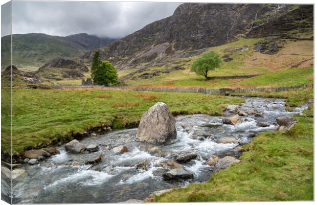 Mountain stream at Cwm Llan, Snowdonia, North Wales Canvas Print by Andrew Kearton
