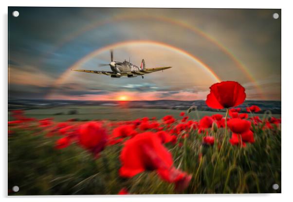Spitfire MH434 Poppy Pass Acrylic by J Biggadike