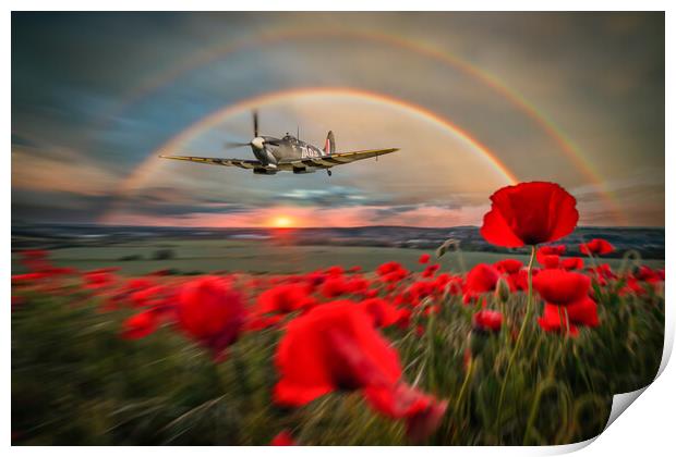 Spitfire MH434 Poppy Pass Print by J Biggadike