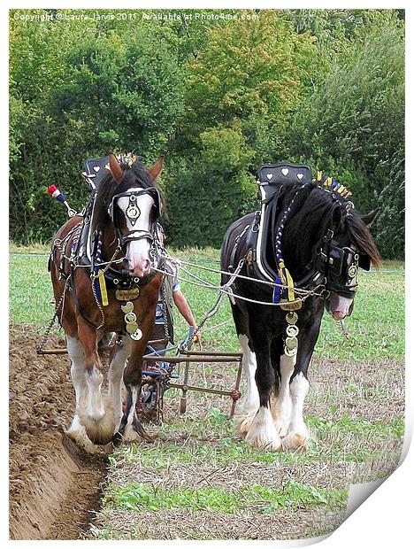 Shire Horses in Ploughing Competition Print by Laura Jarvis