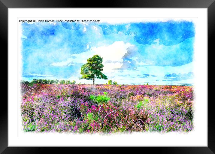 New Forest Heather Painting Framed Mounted Print by Helen Hotson