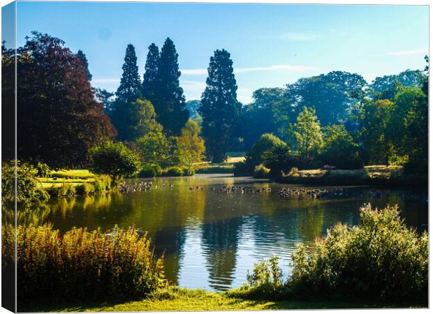 Majestic Waters of Sandringham Canvas Print by Simon Hill