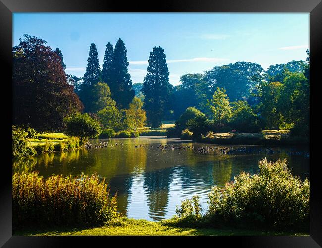 Majestic Waters of Sandringham Framed Print by Simon Hill