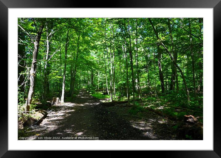 Into the Woods Framed Mounted Print by Ken Oliver