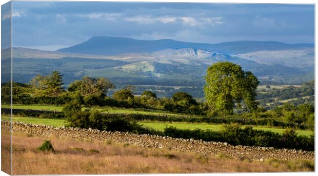 Brecon Beacons and the Sleeping Giant Canvas Print by Leighton Collins