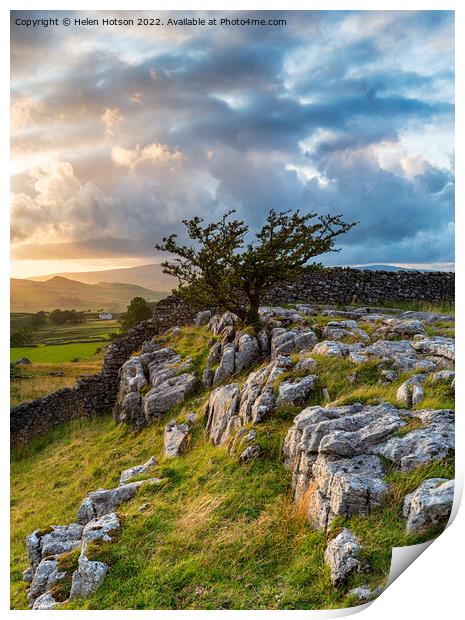 Yorkshire Dales Print by Helen Hotson