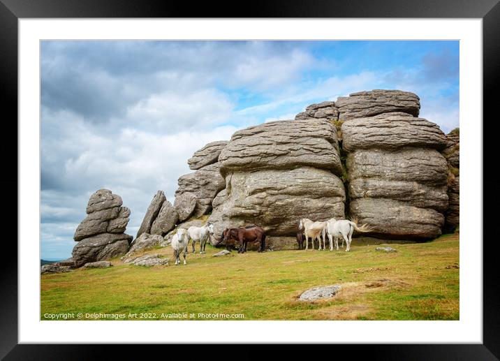 Dartmoor Ponies near Saddle Tor Framed Mounted Print by Delphimages Art
