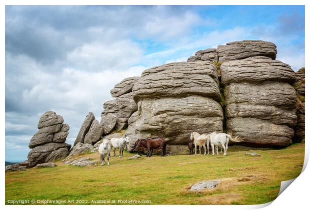 Dartmoor Ponies near Saddle Tor Print by Delphimages Art