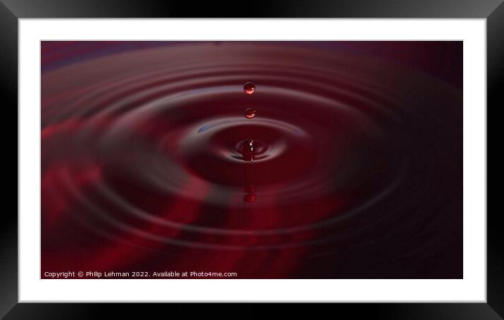 Red Drops (32A) Framed Mounted Print by Philip Lehman