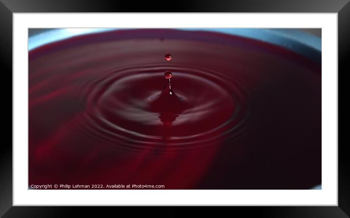 Red Drops (21A) Framed Mounted Print by Philip Lehman