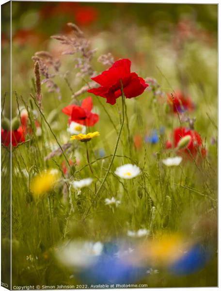 `Poppy flower Canvas Print by Simon Johnson